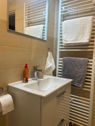 a bathroom with a sink and a mirror and towels at Byt v podzámčí in Litomyšl