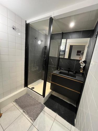 a bathroom with a shower with a sink and a mirror at Le Liseo - Terrasse, véranda au cœur du centre ville in Niort