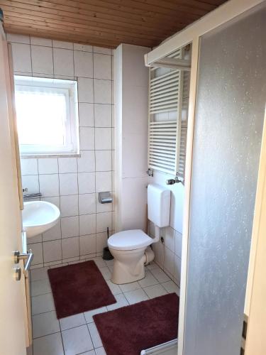 a small bathroom with a toilet and a sink at Ferienwohnung Rose in Altenkunstadt