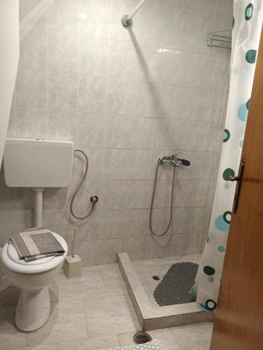 a bathroom with a shower and a toilet in it at Aπανεμα Ανδ συγγρου 34 in Galaxidi