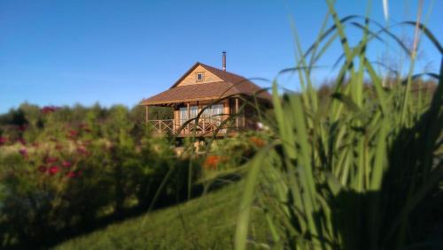 a house in the middle of a field of flowers at Mikalojiškis in Inturkė