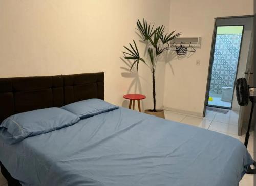 a bedroom with a bed with blue sheets and a plant at São Francisco Aparts in Salvador