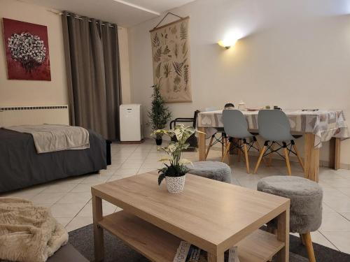 Le Festivalier, Cozy Studio - City Center