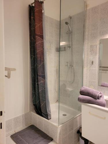 Le Festivalier, Cozy Studio - City Center