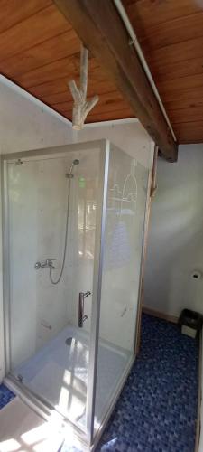 a bathroom with a shower with a glass door at Na Petko suite in Gaiman