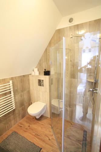 a bathroom with a toilet and a shower at Pokoje gościnne u Sołtysów in Jurgów