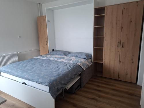 a bedroom with a bed and a closet at Cosy central apartment in Litija