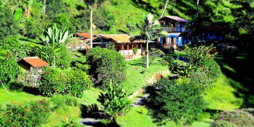 a house on the side of a hill with trees at EcoLodge La Pluma in Salento