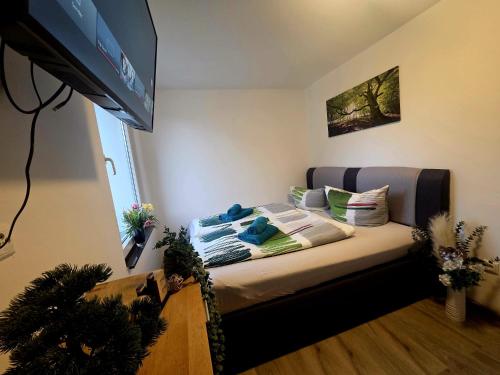 a room with a bed and a flat screen tv at Ferienhaus am Tänntalbach in Öhrenfeld