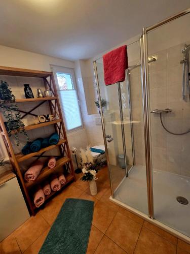 a bathroom with a shower and a glass shower stall at Ferienhaus am Tänntalbach in Öhrenfeld