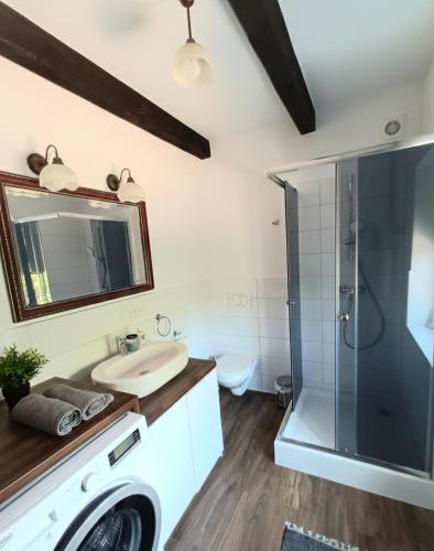 a bathroom with a sink and a shower at Mazurska Chata Rydzewo in Rydzewo