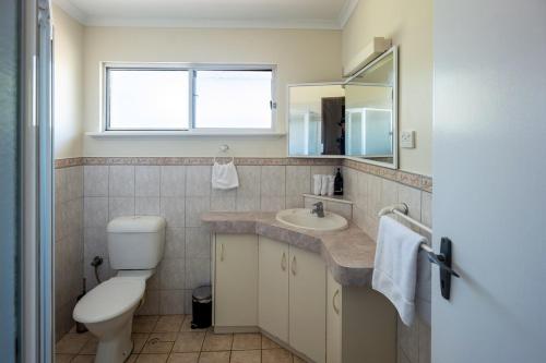 a bathroom with a toilet and a sink and a mirror at Middleton Mews in Albany