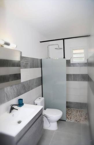 a white bathroom with a toilet and a sink at Appartement Ti Colibri in Rivière-Salée