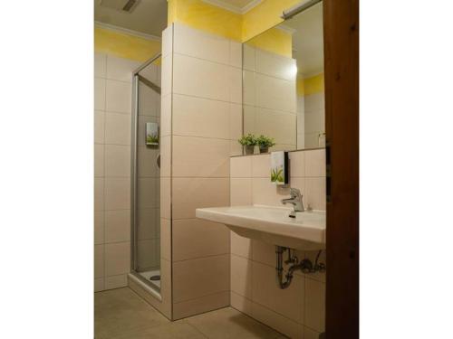 a bathroom with a sink and a shower at Gemütliches Studio in Bad Birnbach mit Terrasse in Bad Birnbach