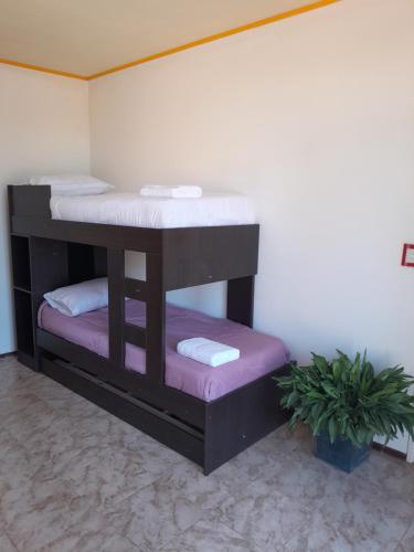 a room with two bunk beds with towels and a plant at El Pedregullo in Neuquén