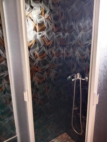 a shower in a bathroom with a wall of fish at Cabaña El ulmo in Quelalmahue