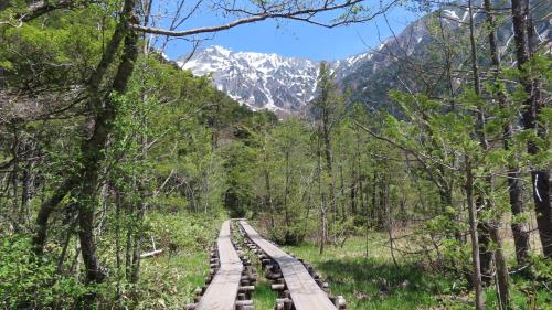Nakanoyu Onsen Ryokan - Vacation STAY 18829v