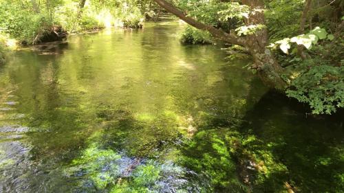 Nakanoyu Onsen Ryokan - Vacation STAY 18812v