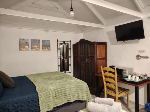 a bedroom with a bed and a desk and a tv at Aloe Haven in Lichtenburg
