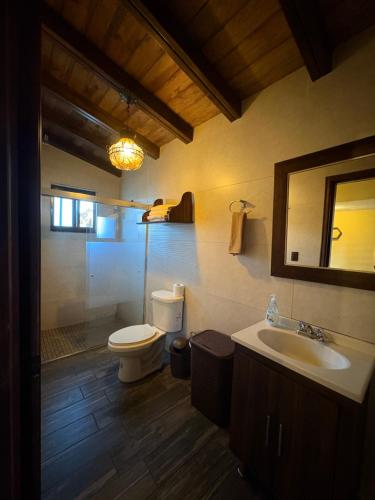 a bathroom with a toilet and a sink and a mirror at Cabañas Puerta del Bosque núm 2 in Mazamitla