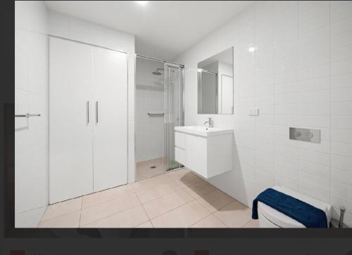 a bathroom with a shower and a sink and a toilet at Cozy 1BR Apt pet free, free parking Kingston in Kingston