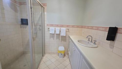 a bathroom with a shower and a sink at The Prospect Executive Home in Prospect