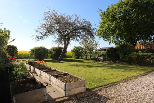 Jardín al aire libre en Stevns Klint Strandpension