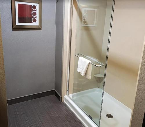 a shower with a glass door in a bathroom at Hampton Inn and Suites Marksville in Mansura