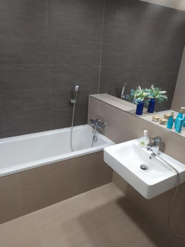 a bathroom with a sink and a bath tub and a mirror at Gonda Apartments in Hradec Králové