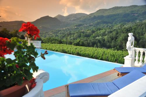 a swimming pool with a view of a mountain at Agriturismo Polla in Camporgiano