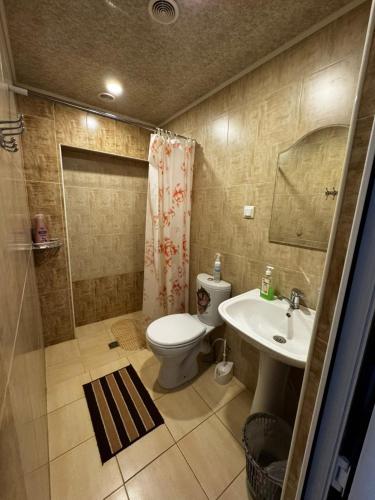 a bathroom with a toilet and a sink and a shower at Arpi-Ureni Guesthouse in Ertich