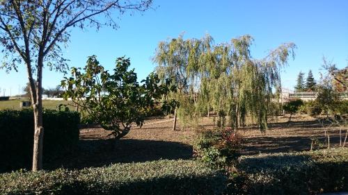 a garden with trees and bushes on a sunny day at B&B Verde Irpinia in Gesualdo