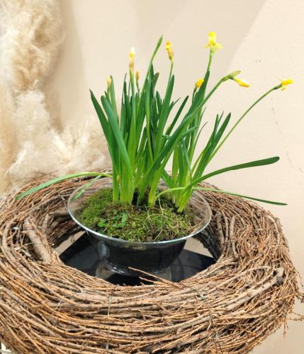 Foto de la galeria de Hotel Central a Zagreb