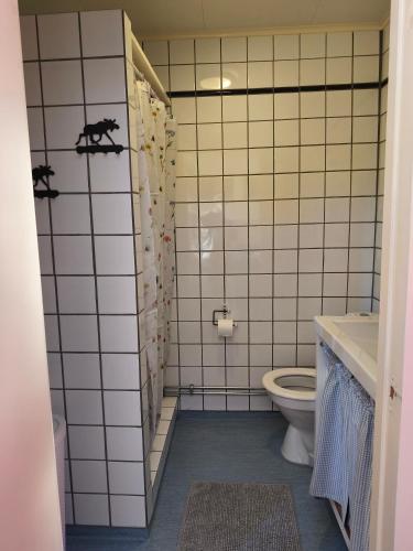 a bathroom with a toilet and a sink at Sunnemoslantliv B&B in Sunnemo