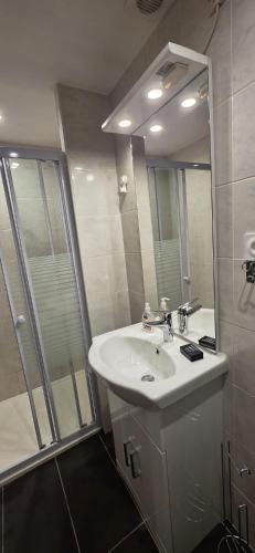 a bathroom with a sink and a shower at Studio 33 m2 a saint Michel de Maurienne in Saint-Michel-de-Maurienne