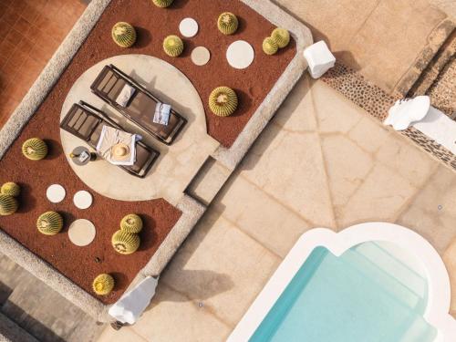 Canaryislandshost I Esencia