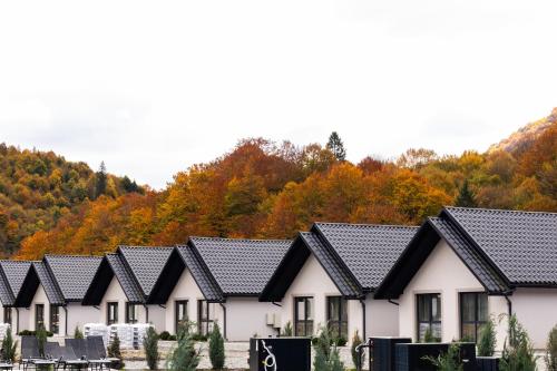 a row of houses with black roofs at Mizhhirya resort in Mizhhirya
