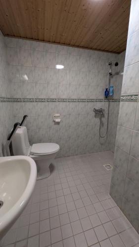 a bathroom with a toilet and a shower and a sink at Kauppilan Matkailutalo in Ikaalinen