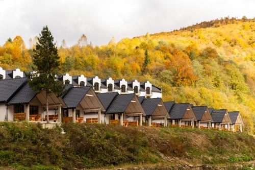 a row of houses on a hill at Mizhhirya resort in Mizhhirya