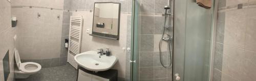 a bathroom with a sink and a shower and a toilet at Hvězda in Želnava