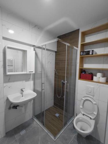 a bathroom with a shower and a toilet and a sink at High Above 6 in Vranješ