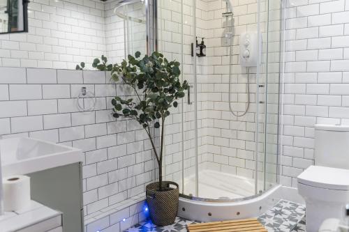 a bathroom with a shower with a potted plant in it at CODE - The Loft, Edinburgh in Edinburgh