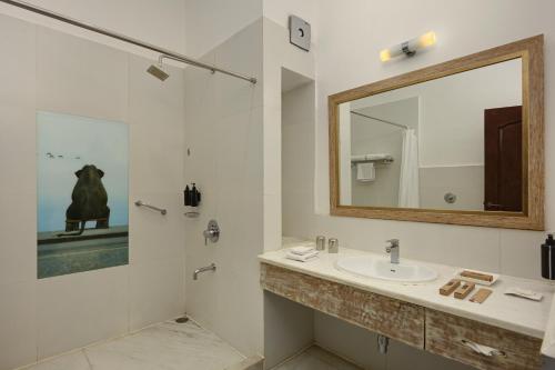 a bathroom with a sink and a shower with a mirror at Fateh Safari Resort by Fateh Collection in Kumbhalgarh