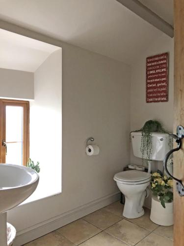 a bathroom with a toilet and a sink at 3 Bed in Blaenau Ffestiniog oc-wah538 in Trawsfynydd
