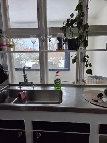 a kitchen counter with a sink and a window at Blomstermåla in Blomstermåla