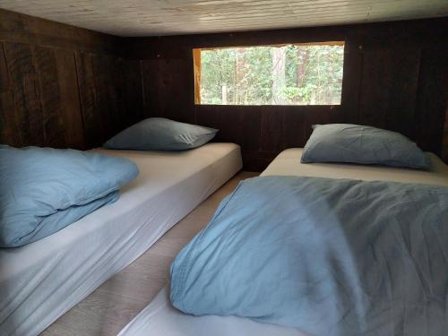 two beds in a small room with a window at Mirabel - DreamsCanGrow in Hasselt