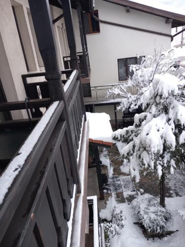 Guest house Skabrin a l'hivern