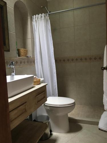 La salle de bains est pourvue de toilettes, d'un lavabo et d'une douche. dans l'établissement Hotel Casa del Angel, à Tepoztlán