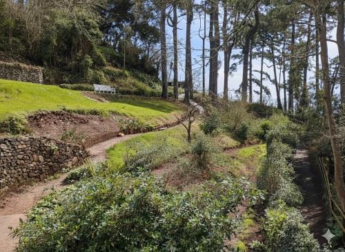a path through a garden with a bench on a hill at Church Path House in Minehead