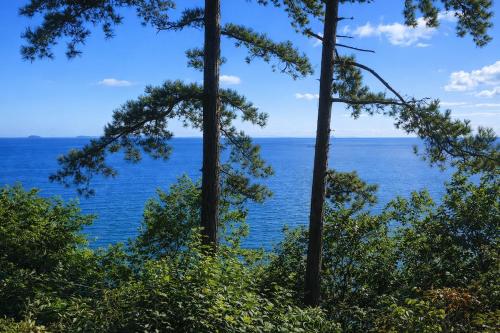 a view of the ocean through the trees at Church Path House in Minehead